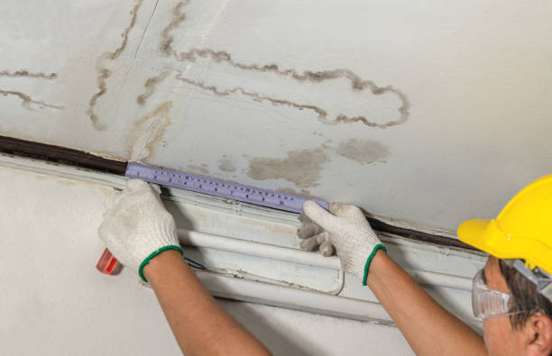 Reliable Water Damage contractor in New Washington, OH by Water Damage Irwin